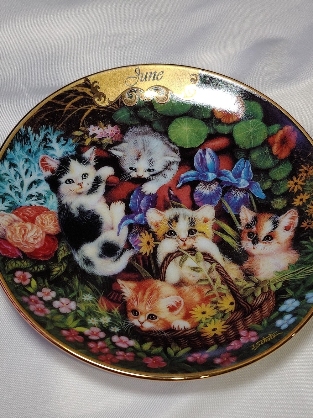 " June " Kittens Collector Plate